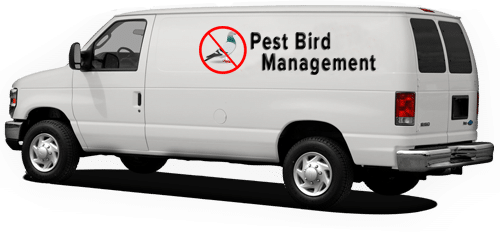 bird pest control van