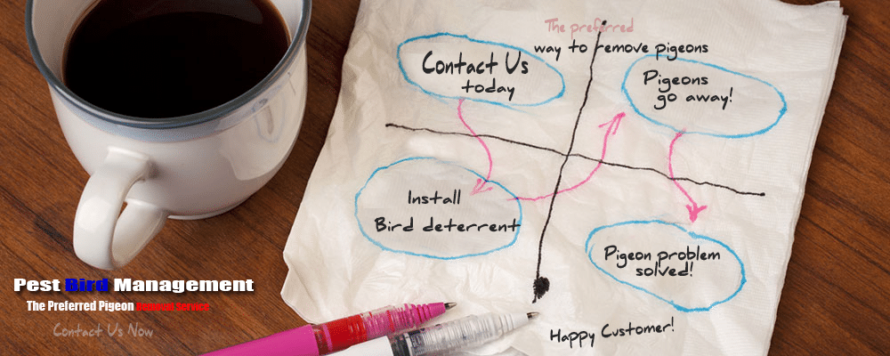 Pest Bird Management Process